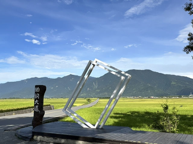 池上。金黃稻浪