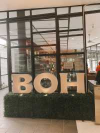 Sip, Shop & Savor: The BOH Tea Boutique Experience