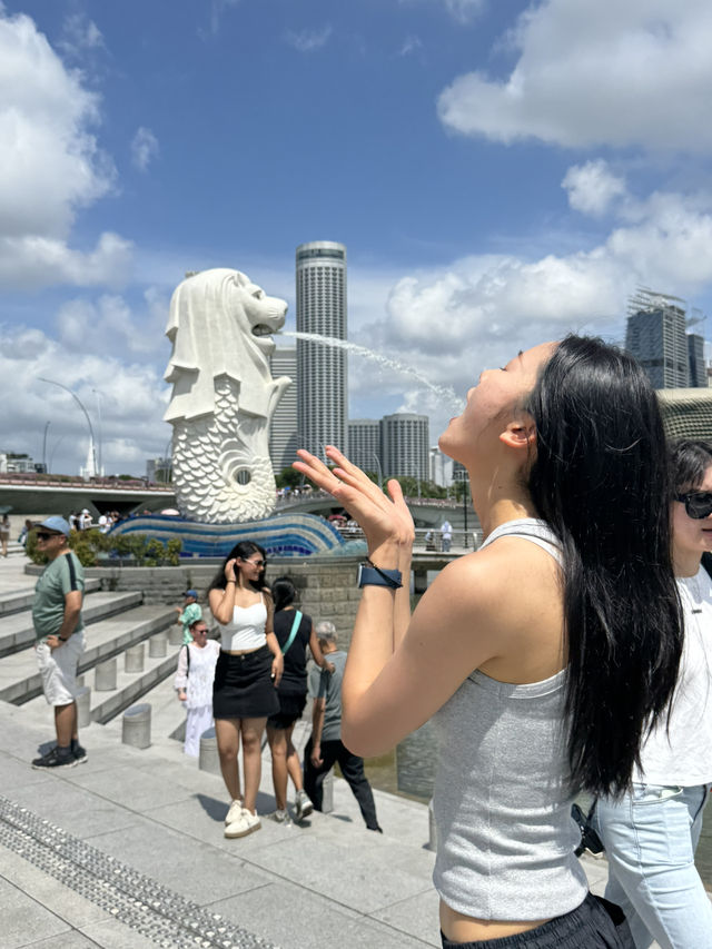 깨끗하고 평화로운 싱가포르 🇸🇬