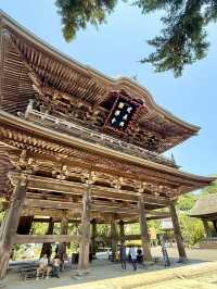 Summer Escape to Kamakura: Ancient Temples, Ocean Breezes & Hydrangea Magic