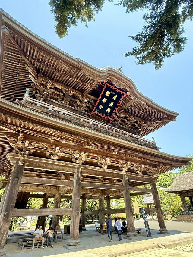 Summer Escape to Kamakura: Ancient Temples, Ocean Breezes & Hydrangea Magic