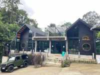 Hi Land Forest View