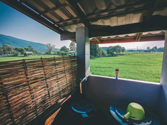 🌾 โรงเรียนชาวนา จ.น่าน 🌾