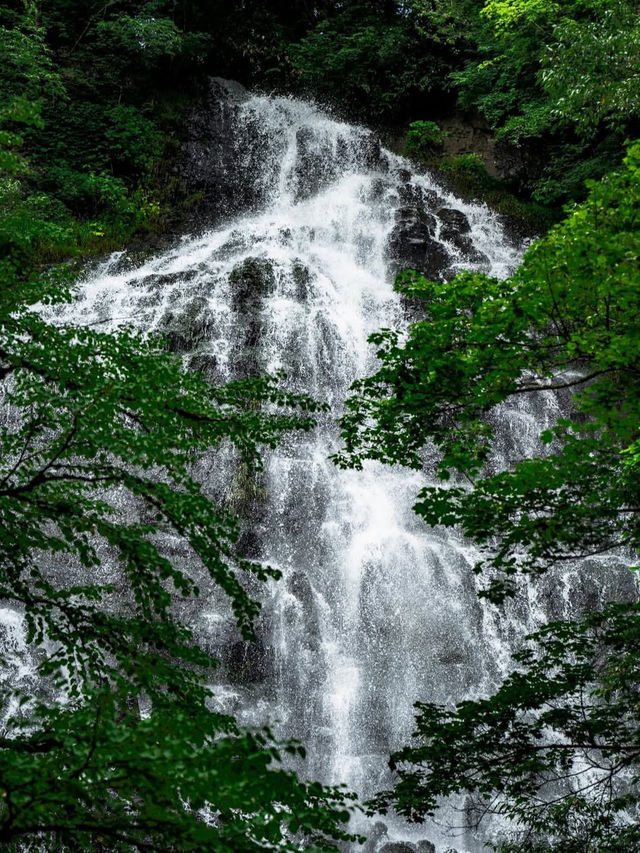 【龍双ヶ滝で心洗われる滝旅】福井の秘境でマイナスイオン全開🌿💧