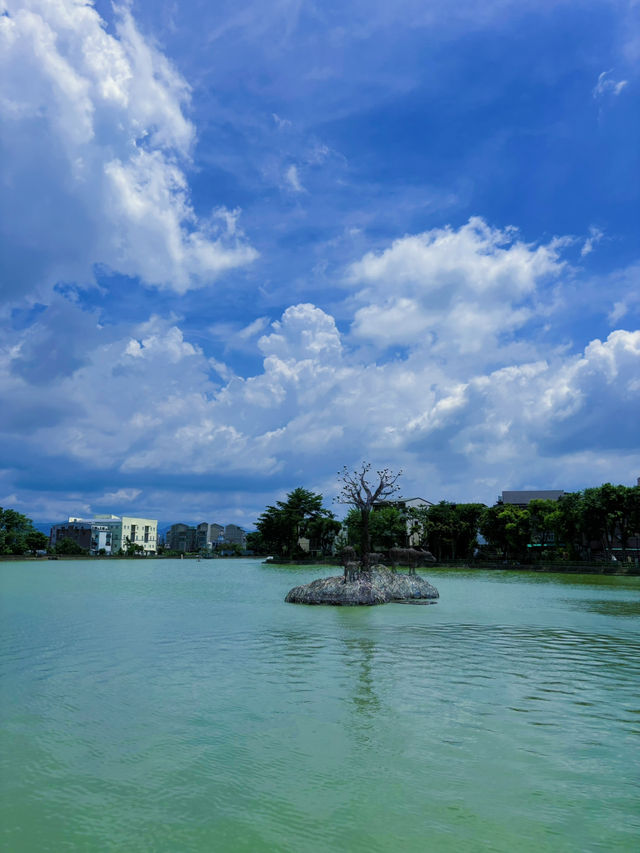 🌿 桃園八德｜高城埤塘生態公園：水鳥會跑來打招呼的靜謐小天地 🐦✨