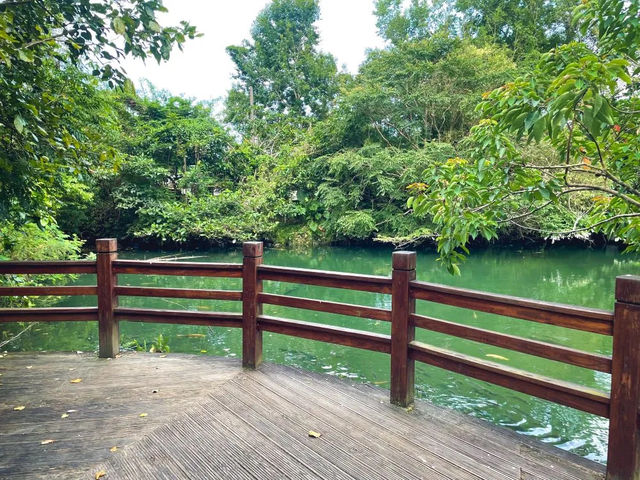 🌿【馬太鞍農園｜走進阿美族的生態智慧，在濕地裡體驗慢生活】