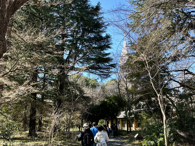 🌸城市中的綠色奇蹟！《新宿御苑》四季皆美的東京祕密花園，賞櫻、避暑、療癒心靈一次到位🍁🌿 