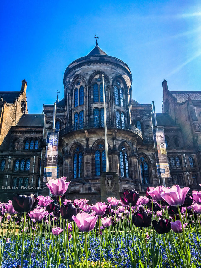 Discovering the Historic Charms of Glasgow 🏛️🍃