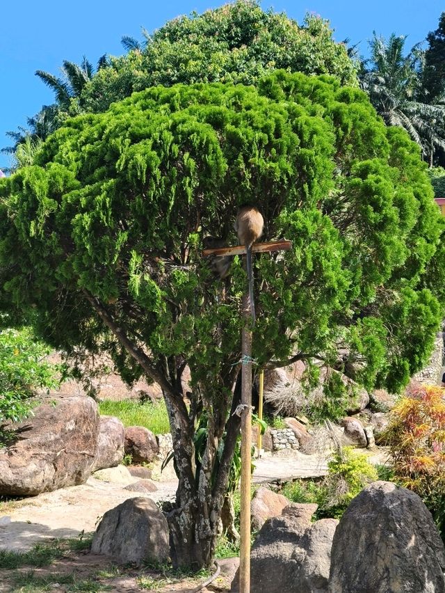 Meet the Monkey King: A Spiritual & Natural Escape in Kulai