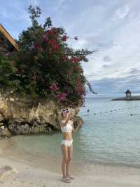 요즘 핫한 여행지 세부 🇵🇭❤️