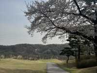 은화삼cc 라운딩