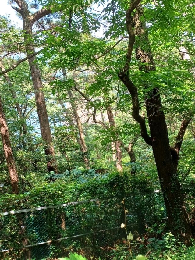 트레킹 좋아하는 사람에게 딱 좋은 길