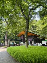神代植物公園🇯🇵で花と植物に癒される💐⟡.·🪴
