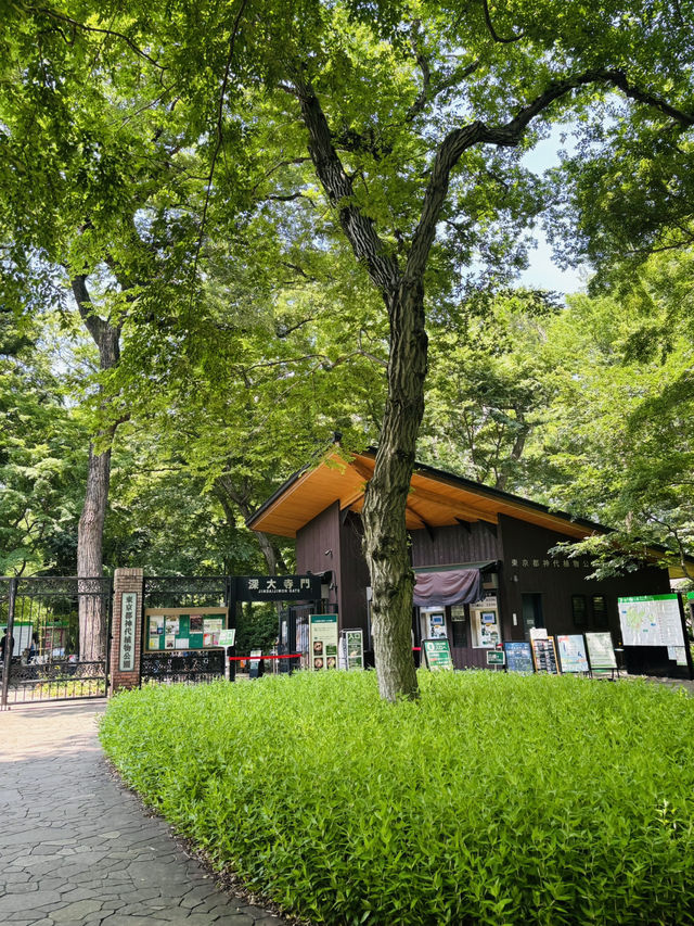 神代植物公園🇯🇵で花と植物に癒される💐⟡.·🪴