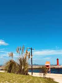Neungpo Waterside Park, Geoje: A Serene Coastal Haven with Artistic Touches