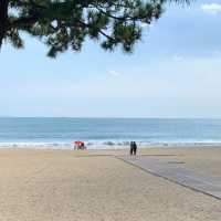여름엔 뭐다? 역시 동해바다지 🌊🐳💙