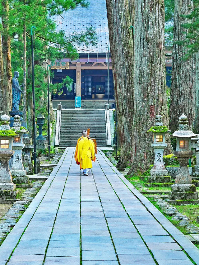 和歌山縣🇯🇵 不會後悔到過的必訪景點 😍