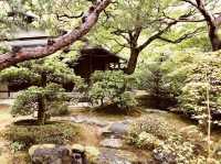 Step into Serenity: A Summer Visit to Kyoto’s Majestic Chion-in Temple