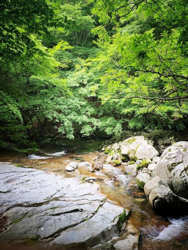 백련사까지 계곡트레킹하기💚무주어사길