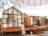 Mollusc Glamping