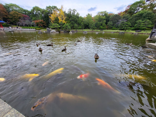 漫步大仙公園：大阪堺市綠意與文化的共鳴地