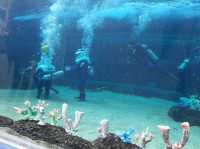 Cebu Ocean Park