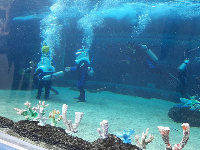 Cebu Ocean Park