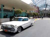 Hollywood Glamour at Universal Studios Singapore!