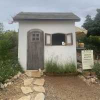 Donghouse Khaoyai — มุมสงบกลางเขาใหญ่