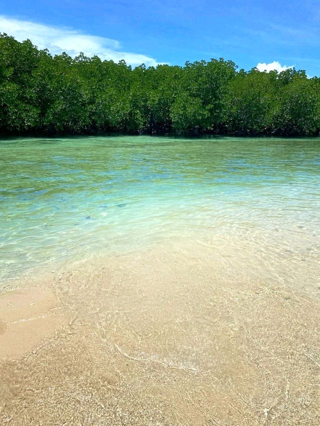 Island Calm and Mangrove Charm: Alibijaban, Quezon