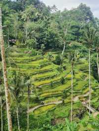 Green Stairways & Sunrise Stillness: Tegalalang’s Timeless Beauty