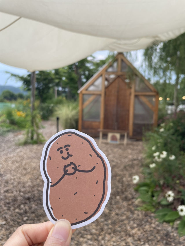 춘천여행