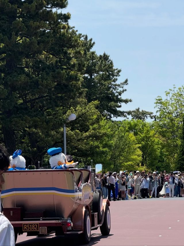 Dreams in Japanese: Discovering Tokyo Disneyland