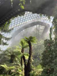 Cloud Forest Jurassic in Singapore 🦕