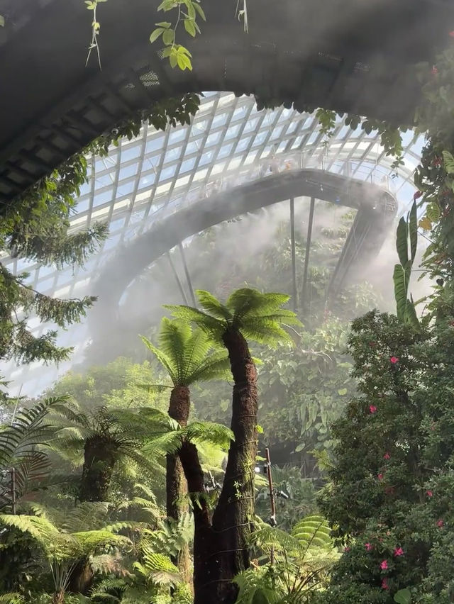 Cloud Forest Jurassic in Singapore 🦕