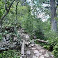 Hamilton Pool Preserve