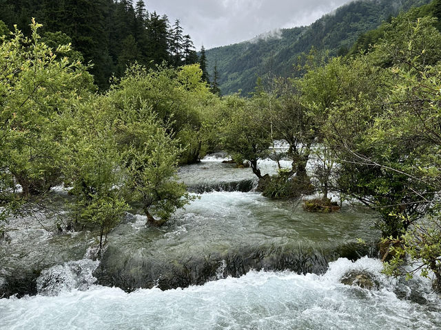 九寨溝
