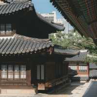 Deoksugung Palace: Where Joseon Meets Modern Seoul – A Solo Traveler’s Timeless Escape"** 🏯🌆
