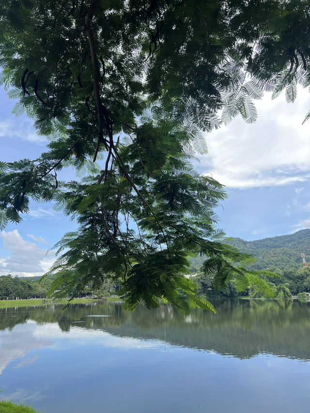 ☀️ อ่างแก้ว มช. ฟ้าใสกลางวันก็ยังสวย!