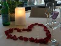 🍾 Elegant Celebration at Dolce Vita – A Night to Remember