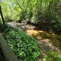Sliding Rock – Pisgah National Forest