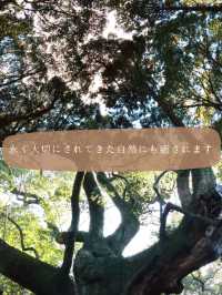 【三重】伊勢＆鳥羽を気ままに楽しむ！ゆったり避暑旅！