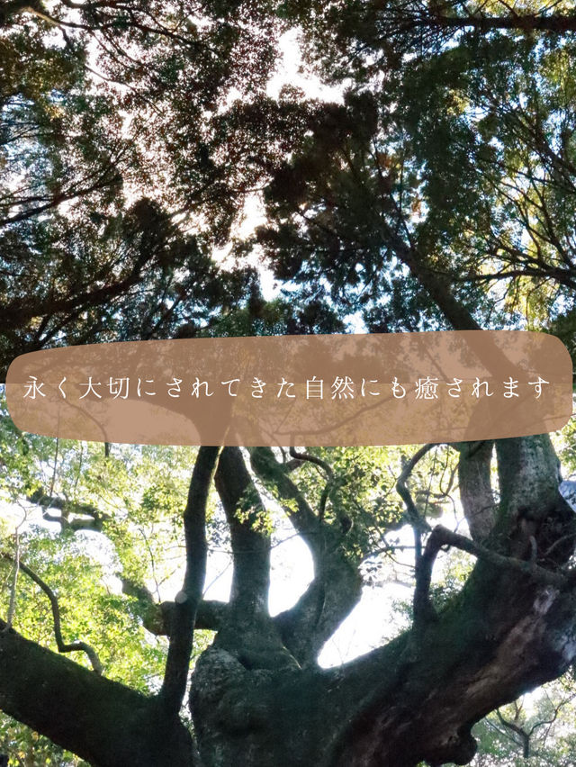 【三重】伊勢＆鳥羽を気ままに楽しむ！ゆったり避暑旅！