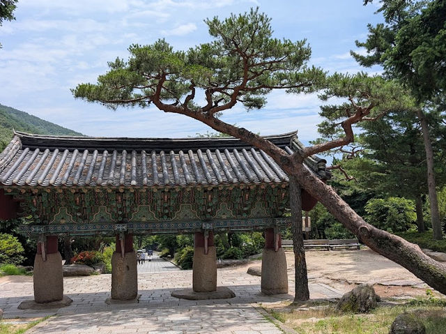 梵魚寺夏日散策｜綠意中的寧靜古剎