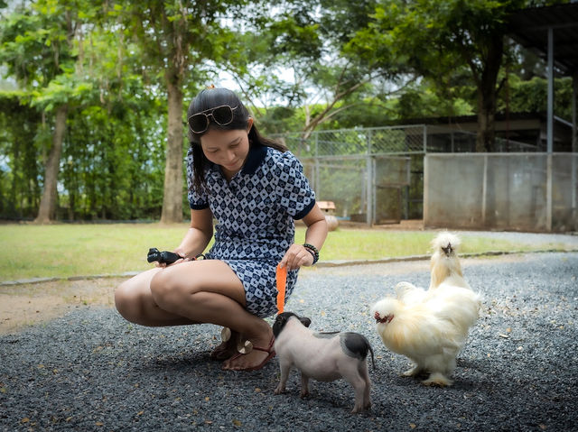 ความน่ารักของเขาใหญ่ในวันนี้ Mini Zoo 