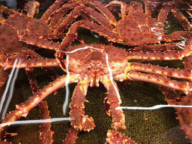 小樽のレトロな駅舎🚂と新鮮な海産物🦀🐚🐟 【とっても素敵🥰💖】