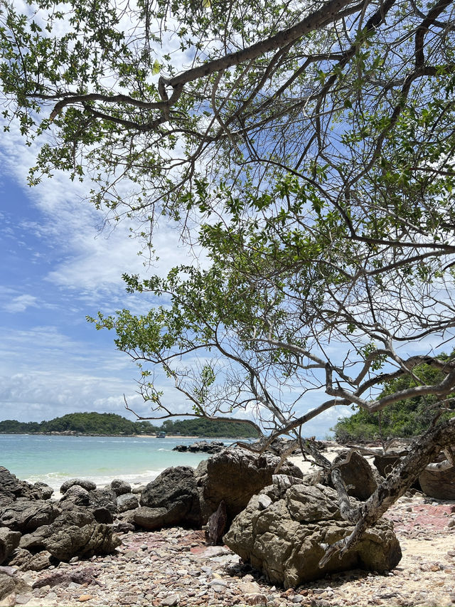 เกาะล้าน  หาดตายาย  บรรยกาศดีมาก น้ำใส