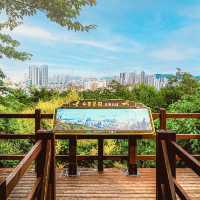 Subong Park: Incheon’s Hidden Hilltop Sanctuary – A Solo Traveler’s Urban Escape"** 🌸🌆 