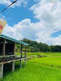 นาตาทา Cafe’ & Farm Stay