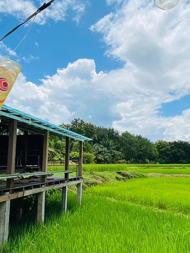 นาตาทา Cafe’ & Farm Stay